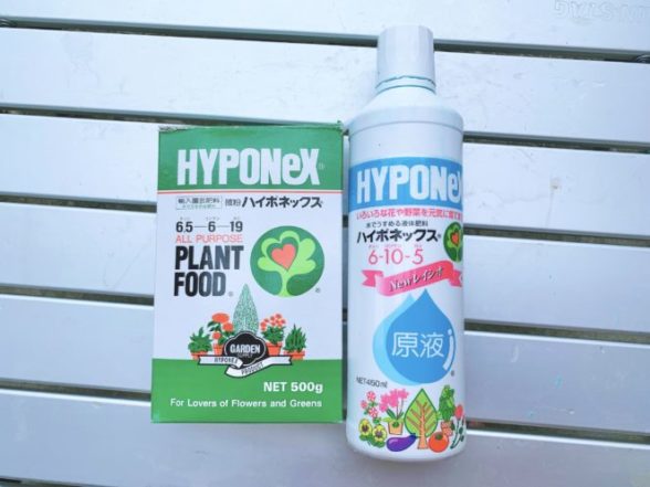 バジルの水耕栽培用肥料にハイポネックス原液は使えない 微粉ハイポネックスを使おう 三度の飯より山ご飯が好き